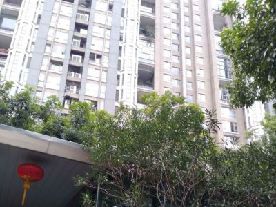 深圳官方发布房地产最新运行情况：稳！