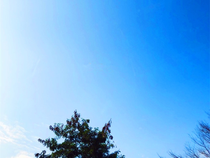 未来5天，深圳天气都很暖和，偶有零星小雨