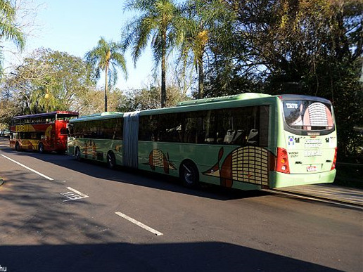 巴西一游览车与卡车相撞 至少8人死30人受伤