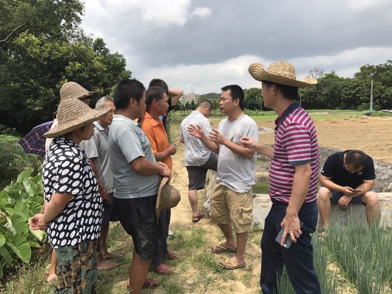 马峦街道今年计划完成土地征转约20万平米