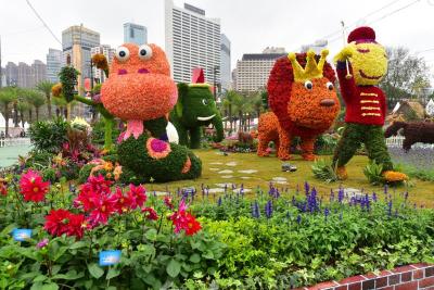 美不胜收！40万株鲜花扮靓香港维多利亚公园