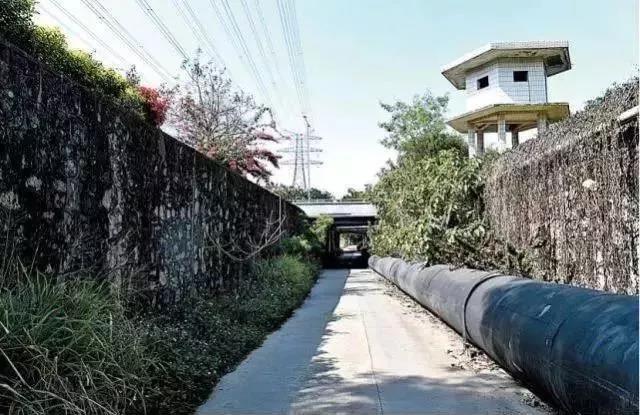 往返南山前海宝安的市民注意！这些道路将有变化