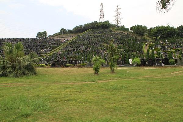 本周末将迎清明祭扫高峰 请市民尽量错峰错时
