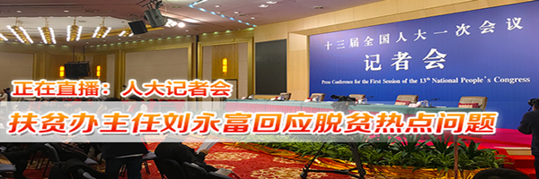 视频回放｜扶贫办主任刘永富就脱贫问题答记者问