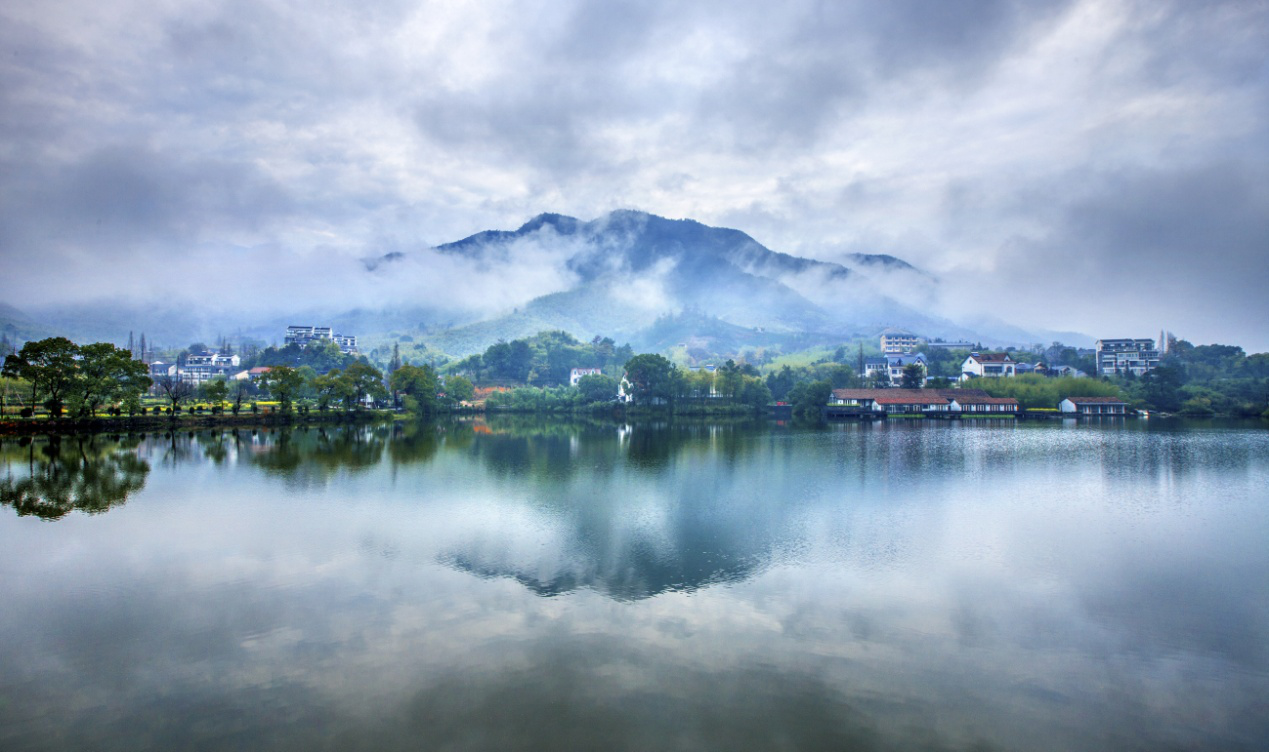 德清“标准地”推介会在深举行