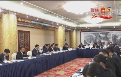 广东代表团举行分组会议审议政府工作报告，李希马兴瑞发言