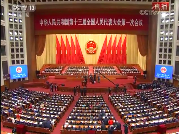 十三届全国人大一次会议选举产生新一届国家领导人
