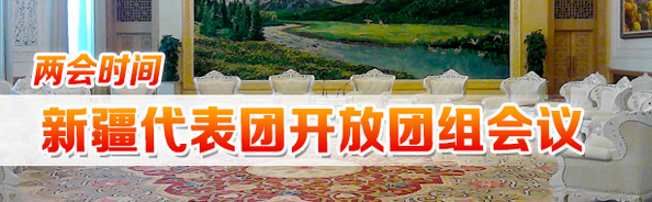 直播｜新疆代表团开放团组会议