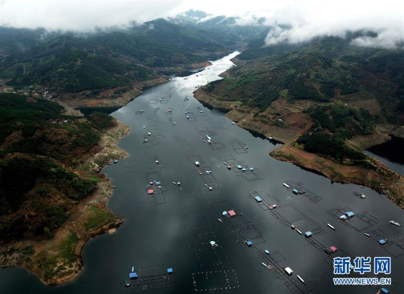 广西隆林水上"田园" 构美丽春日画卷