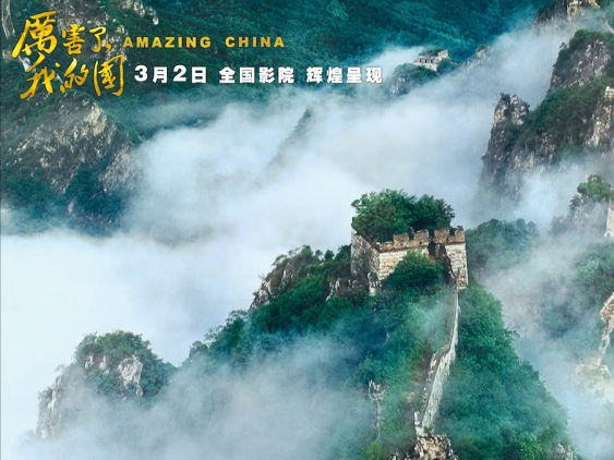 观众：从《厉害了, 我的国》中看到了自己