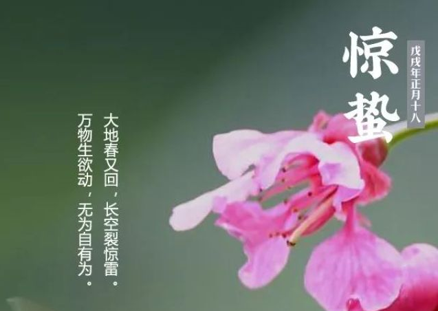 今日惊蛰｜一雷惊蛰始，春风几日闲 