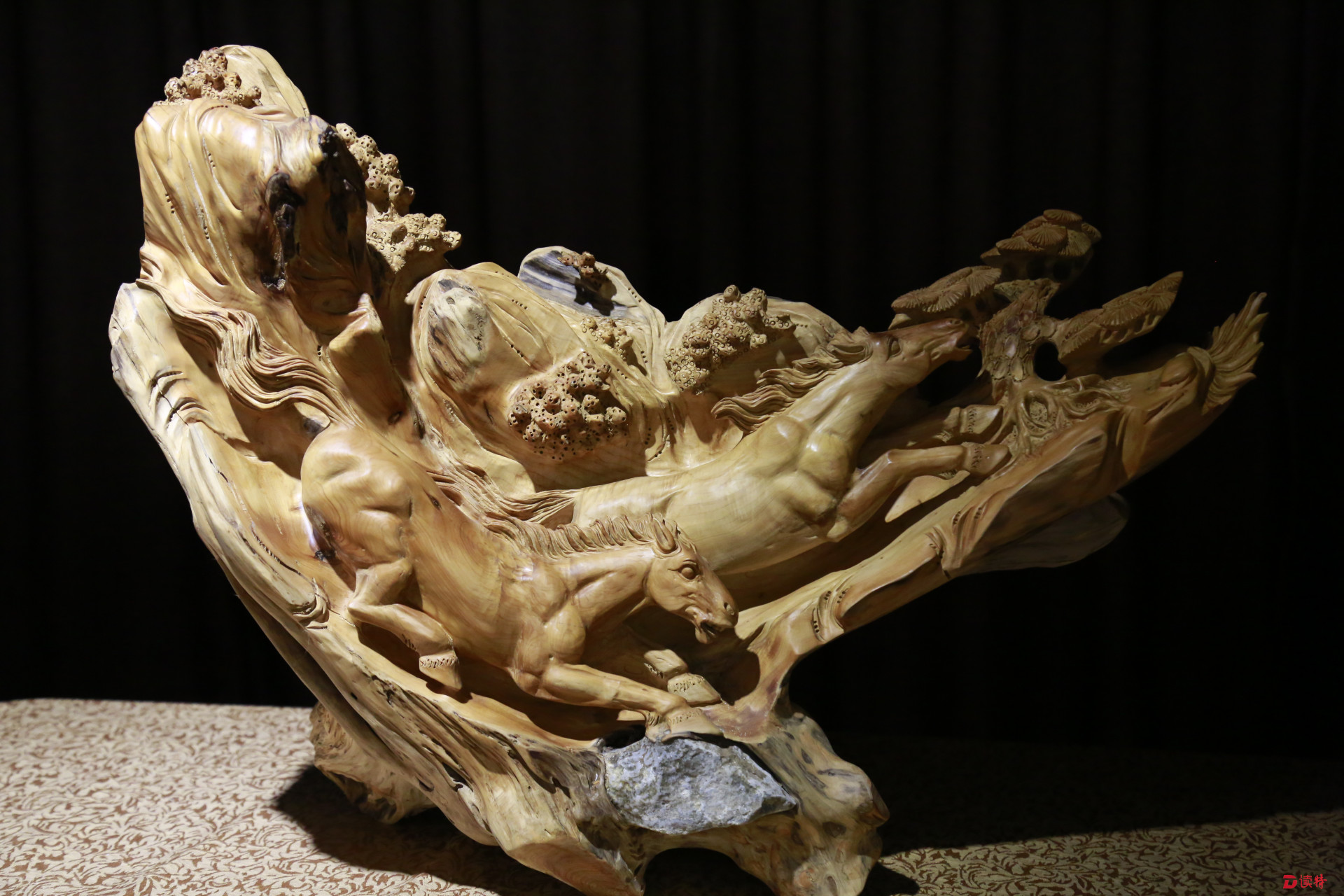 艺随木行 “崖柏雕刻艺术作品展”深圳开幕
