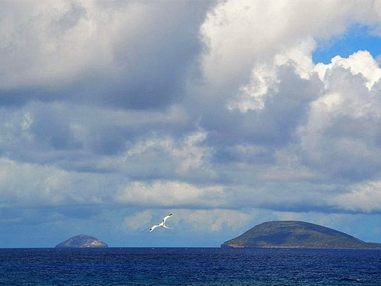 工程师称发现MH370残骸且满是弹孔 澳官员否认