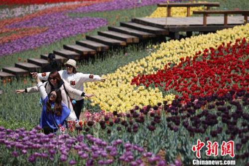 全国气温快速回升 中东部大部最高温将超20℃
