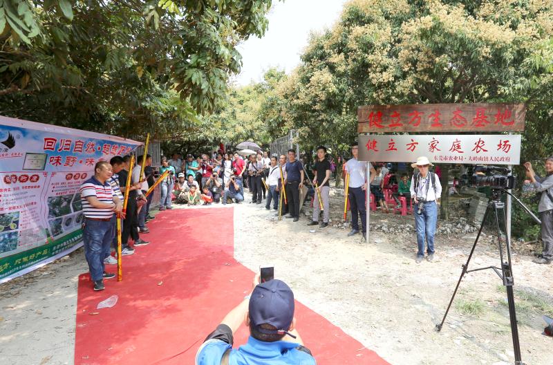 比赛抓鸡，吃大锅饭……东莞这个农场搞新意思