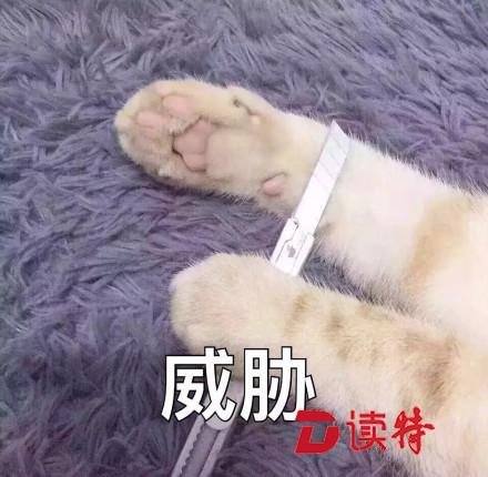 这些小东西的购物省钱方法你知道吗？