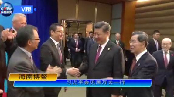 习近平会见萧万长一行：望两岸同胞共推祖国和平统一进程