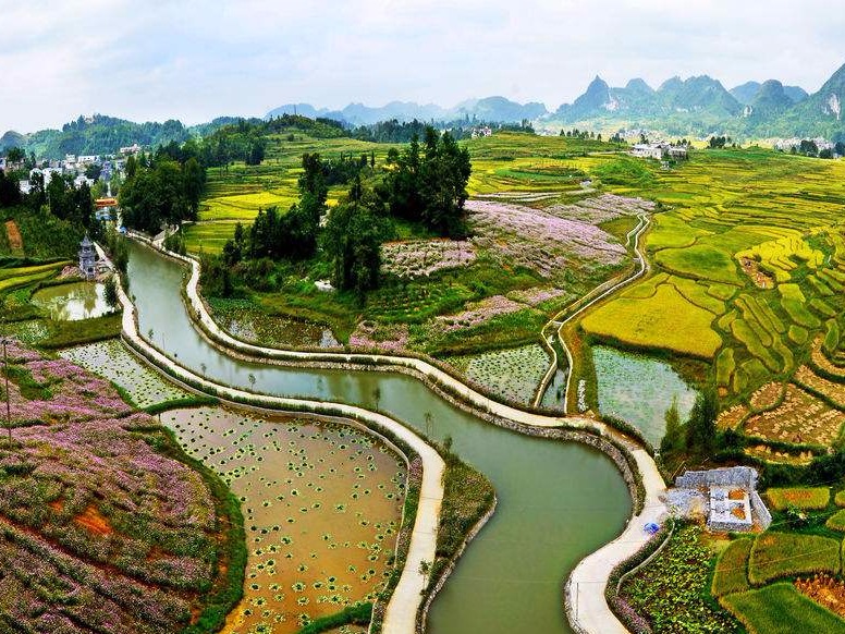 习近平：建设好生态宜居的美丽乡村