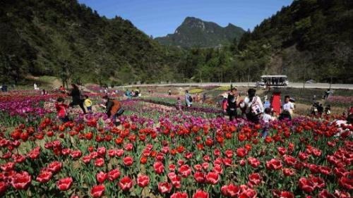 清明祭扫、踏青、旅游 这份假日小贴士请收好！