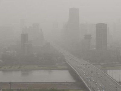 今年沙尘次数比往年多 网友质疑树被砍 专家：林带太少