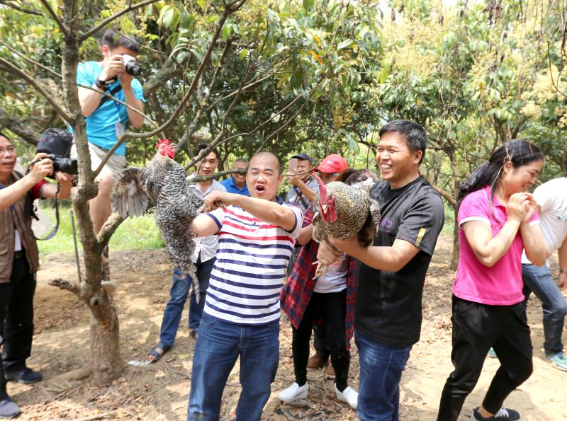 叶柱良告诉记者,这片近百亩的山林基地,既是平台,更是梦想.