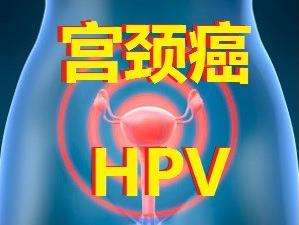 关爱女性健康，聚焦宫颈癌预防