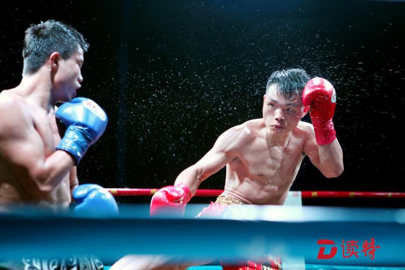 鹏城武林格斗系列赛再呈精彩