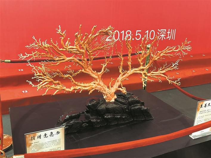 台湾同胞捐赠两株稀有红珊瑚，名字还特别有意义！