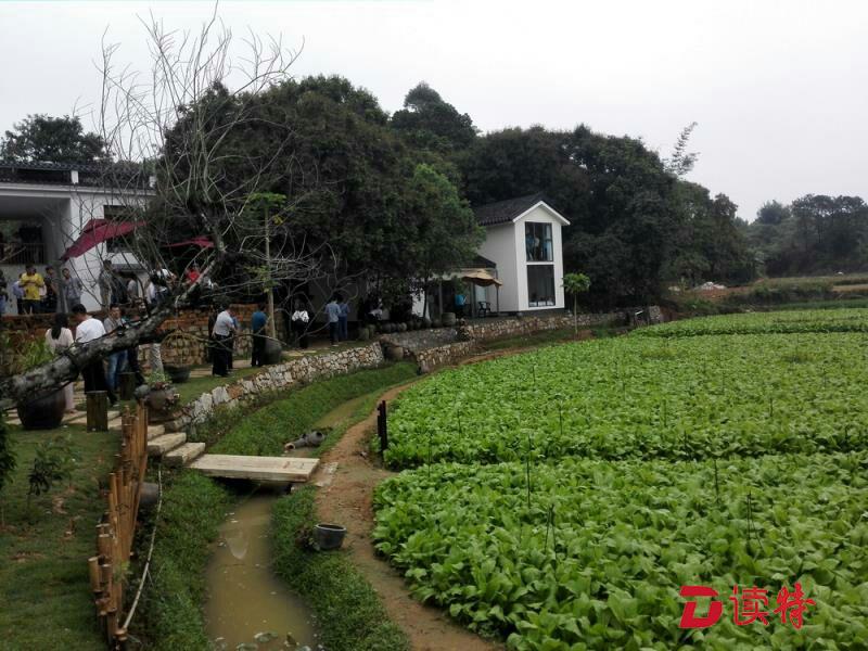 惠阳秋长古村打造振兴乡村示范区