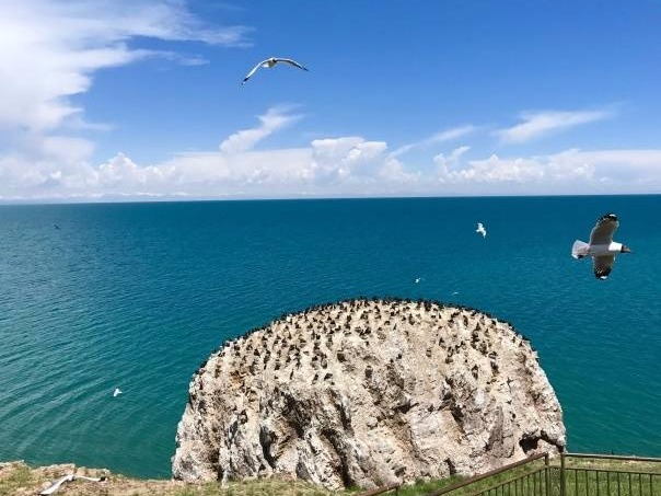 别忙着来！继可可西里后，青海多地颁旅游“谢客令”