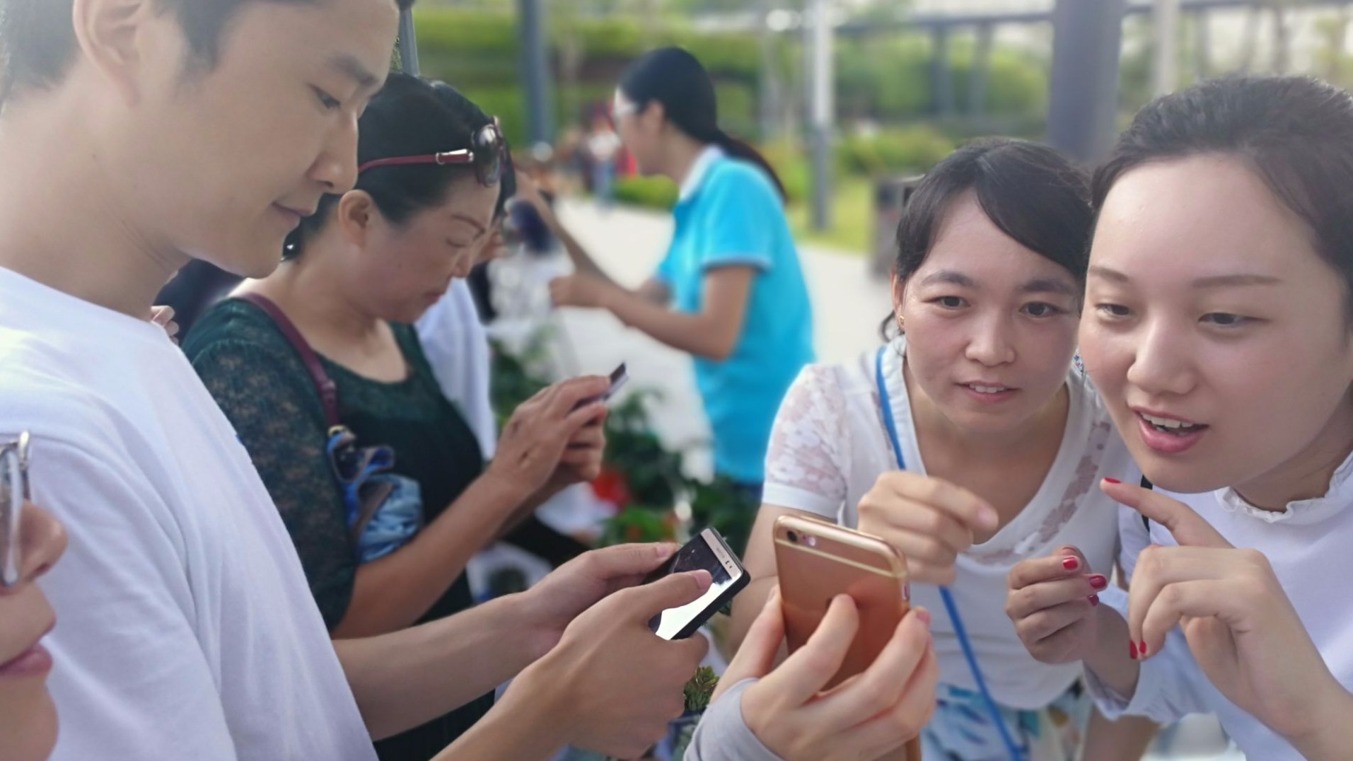 微信“识花君”小程序上线，拍张照认识深圳的花草树木