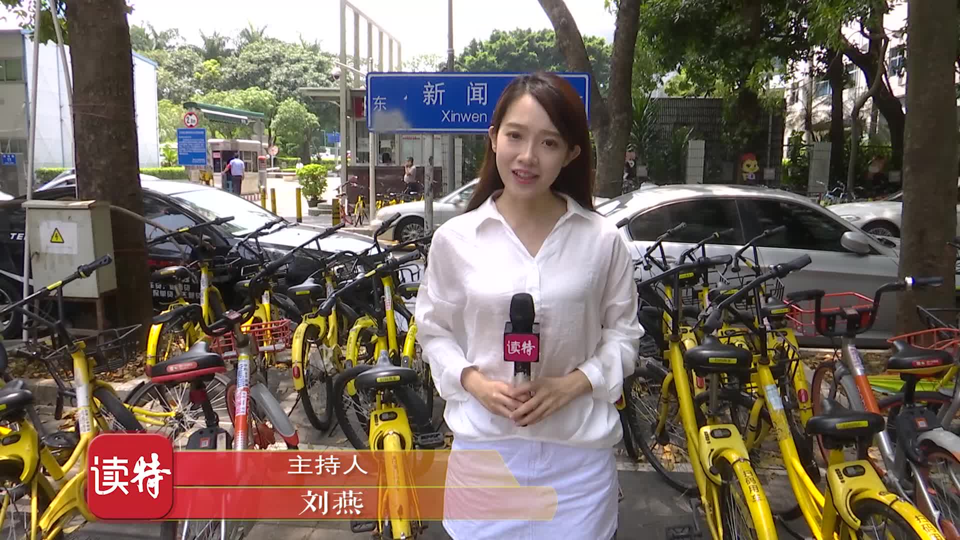 你的名字是不是“爆款”？ 新神器出炉，快来自查！