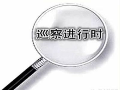 六届深圳市委第五轮巡察  向14个单位党组织反馈巡察情况