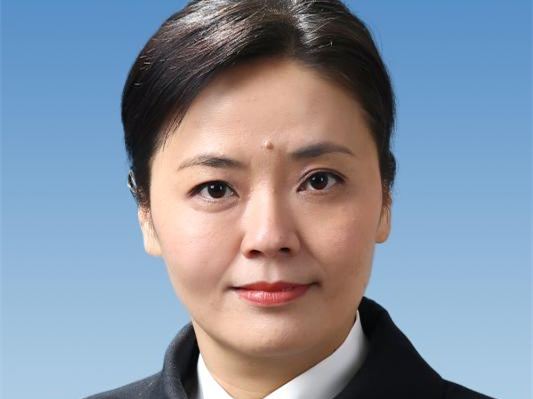 政法群英榜 | 魏巍：互联网金融审判探路人