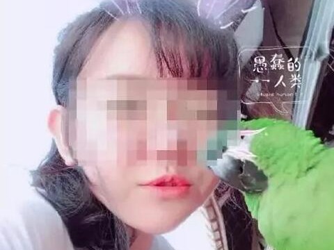 北京一家三口在湖南自杀致2死1伤 此前在海南自杀被救