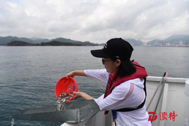 盐田港发展不忘回馈海洋：十年海洋放流3600多万尾鱼虾