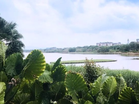 中央环保督察组交办广东第十九批举报件236宗