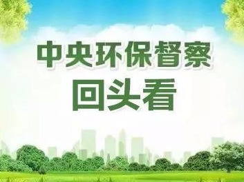 中央督察组交办广东举报件171件  
