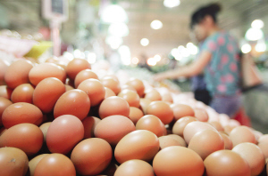 蛋价高位回落两月后上涨，猪肉价格继续下降