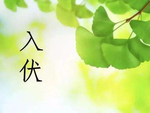 “夏至三庚数头伏”：7月17日“入伏”