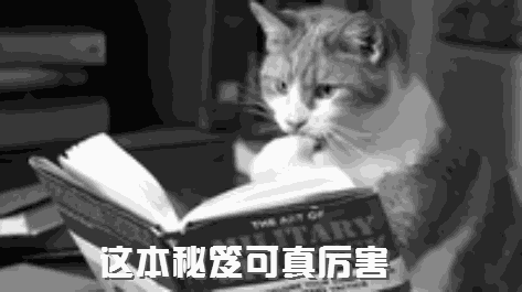 端午小长假出门浪，不修炼这5大秘诀可不行！