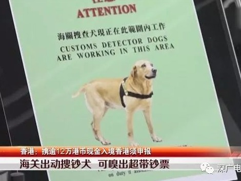 香港海关：7月16号起携带现金别超额最高罚50万港元 