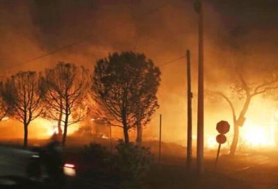 希腊山火已致74人死亡 雅典国际机场大量航班受影响 