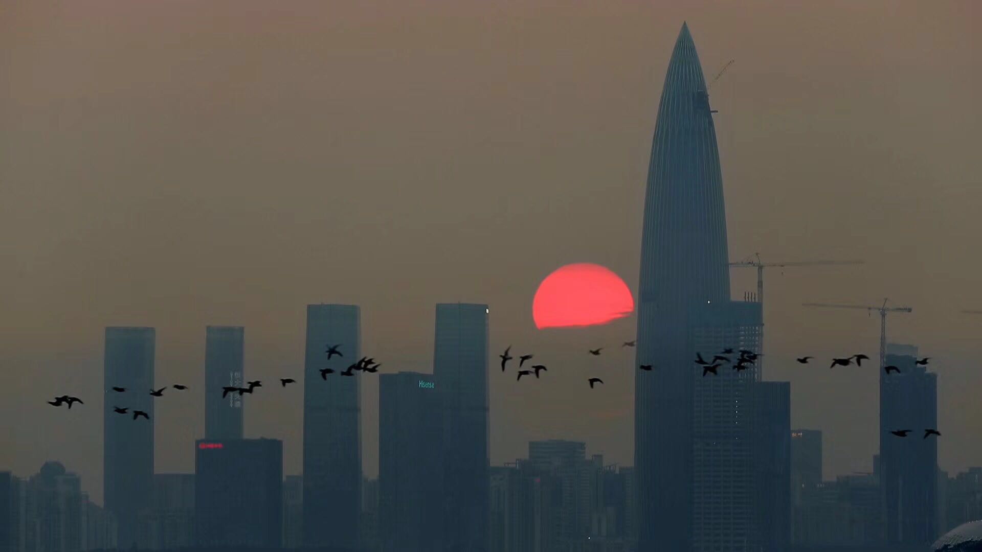 一个深圳人的朋友圈半年记