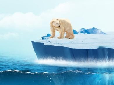 中国第9次北极科考今出征 雪龙号计划航程1.2万海里 
