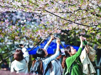 暑假高校校园游又火起来！大学校园该怎样开放？