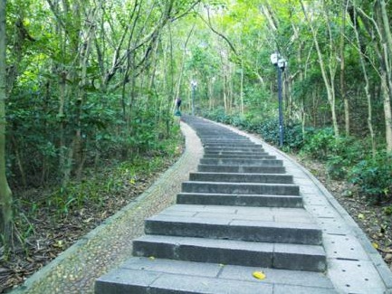 【翰林实验学校 林星宇】采得绿意归