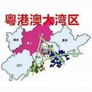 崔世安会见粤港澳大湾区企业家联盟