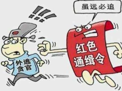 “国际红通”夫妇潜逃5年被押回国：过得不如农民工