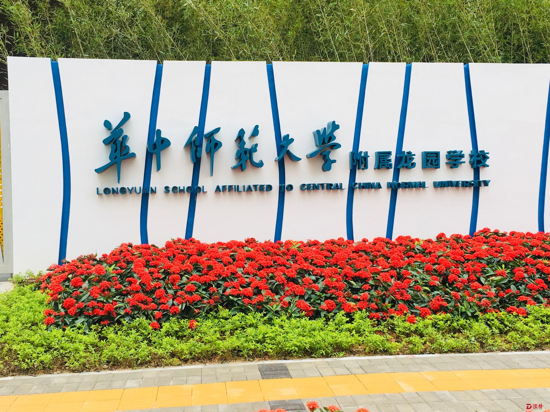 新学期，龙岗送出多重教育“大礼包”，你受益了没有？！！